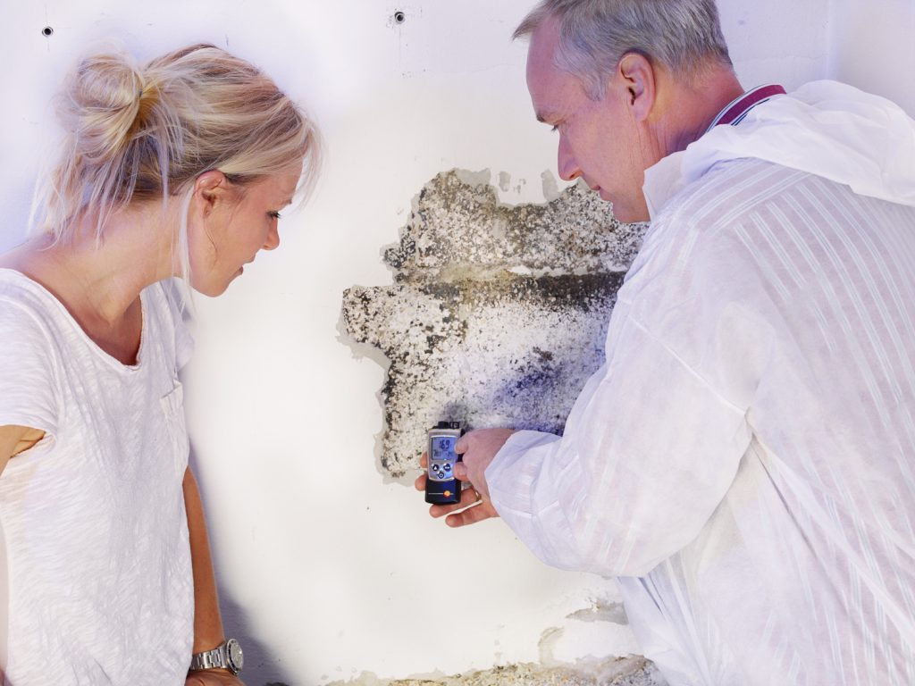 Professional Mold Remediation Contractors